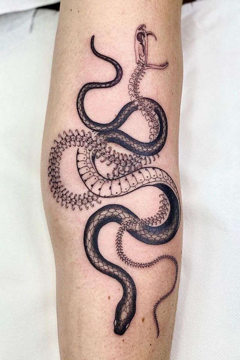 50 Amazing Snake Tattoos for inspiration 2020