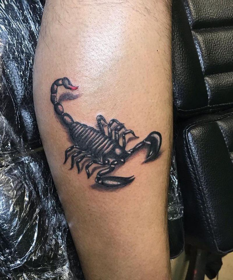 50 Pretty Scorpion Tattoos Show Your Beauty