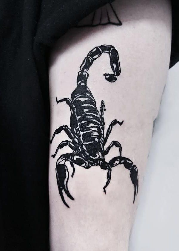 50 Pretty Scorpion Tattoos Show Your Beauty