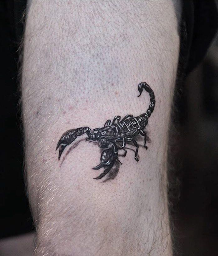 50 Pretty Scorpion Tattoos Show Your Beauty