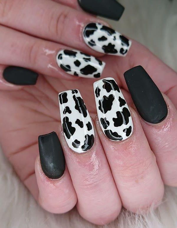 50 Stylish Cow Print Nail Art Designs For Inspiration