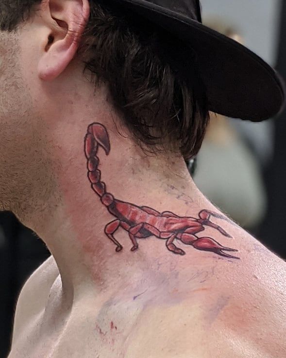 50 Pretty Scorpion Tattoos Show Your Beauty