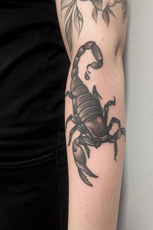 50 Pretty Scorpion Tattoos Show Your Beauty