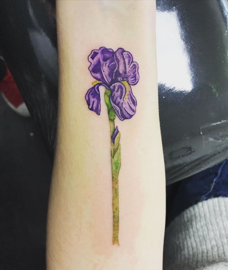 30 Perfect Iris Tattoos Make You Attractive