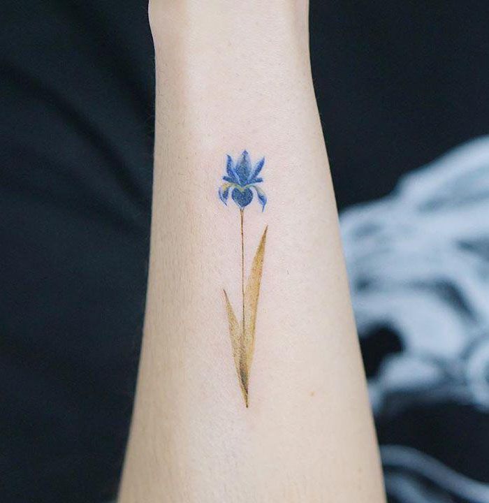 30 Perfect Iris Tattoos Make You Attractive