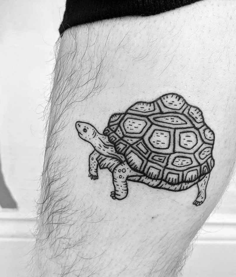 Pretty Tortoise Tattoos Hope to Bring You Luck