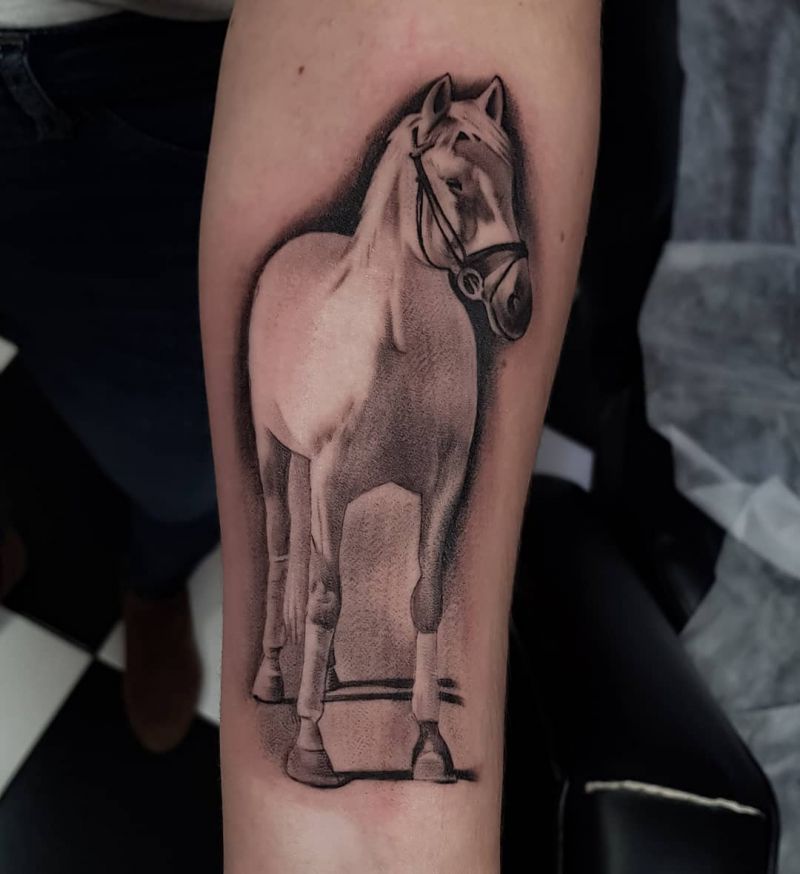 Pretty Horse Tattoos Let You March Forward Courageously