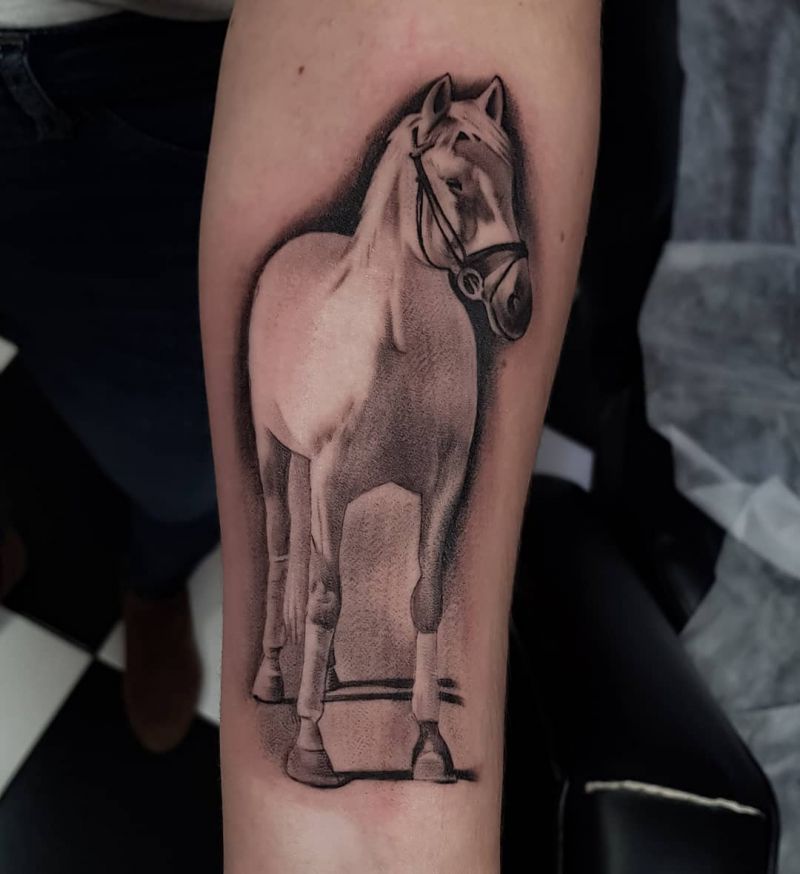 Pretty Horse Tattoos Let You March Forward Courageously