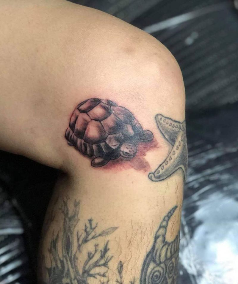 Pretty Tortoise Tattoos Hope to Bring You Luck