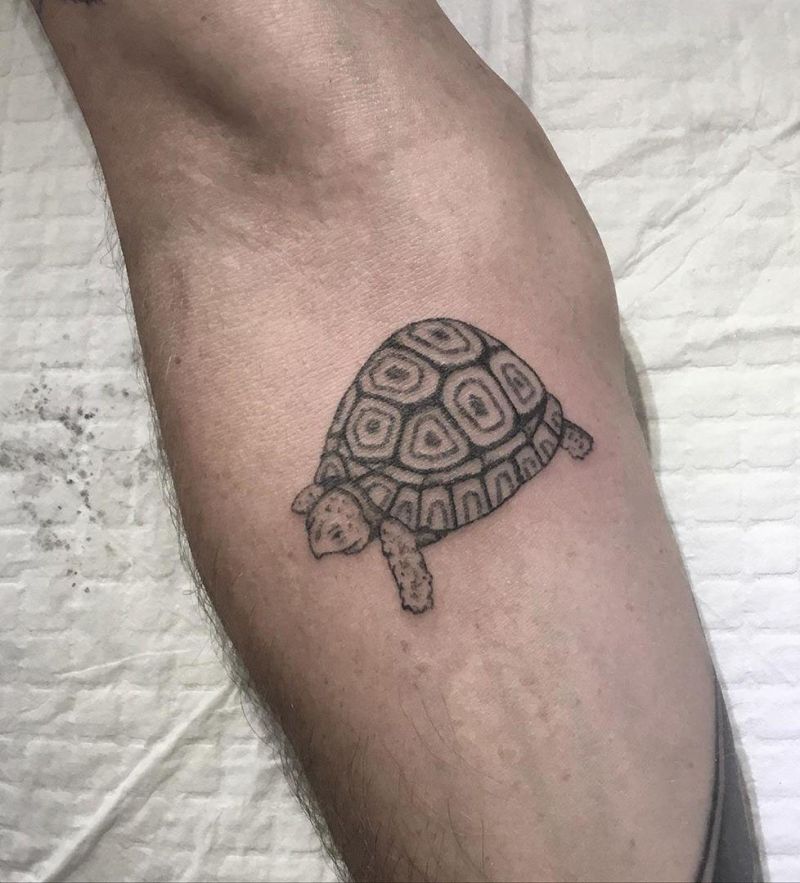 Pretty Tortoise Tattoos Hope to Bring You Luck