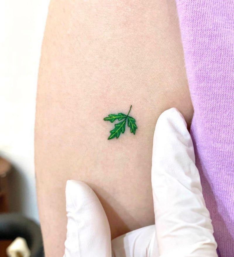 Pretty Leaf Tattoos Make You Elegant and Beautiful