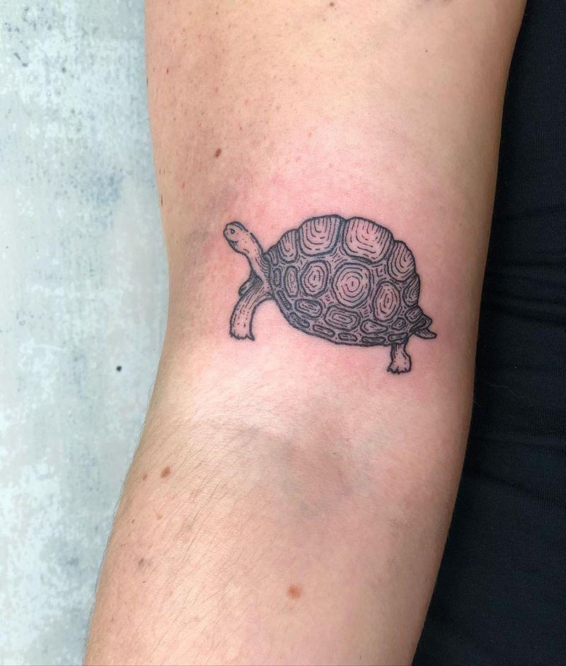 Pretty Tortoise Tattoos Hope to Bring You Luck