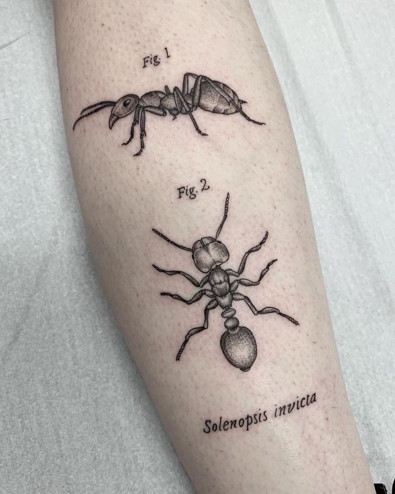 Pretty Ant Tattoos That Make You Powerful