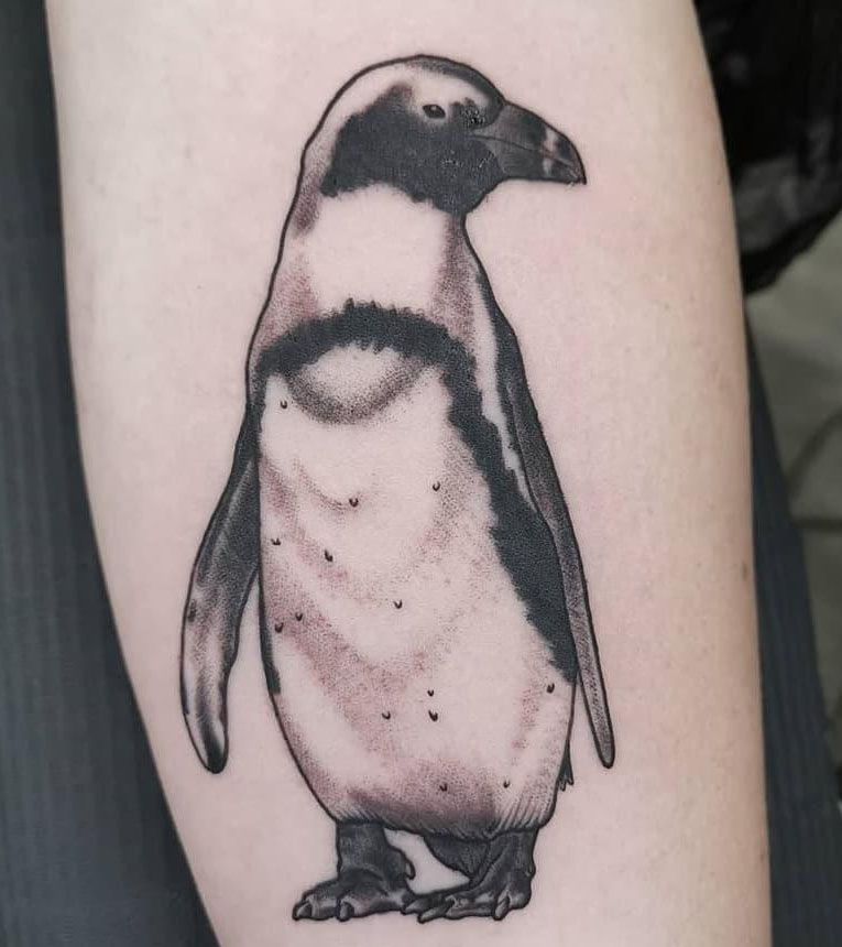 Cute Penguin Tattoo Designs for You to Enjoy