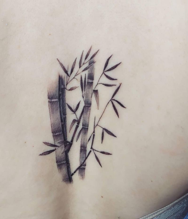 Pretty Bamboo Tattoo Designs You Must Try