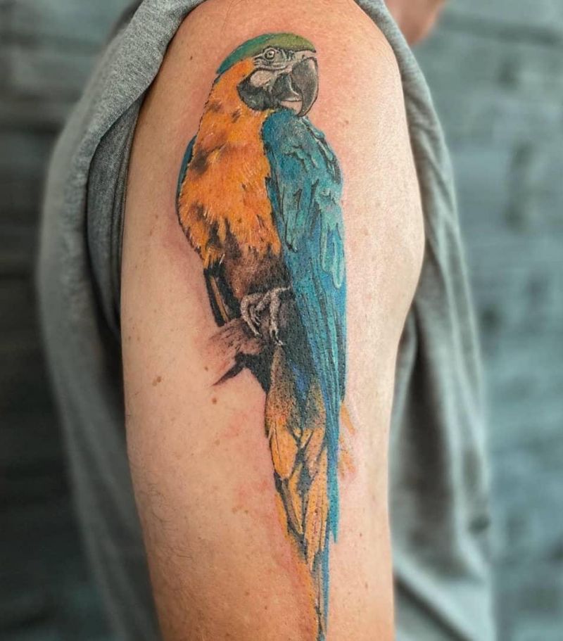 Lovely Parrot Tattoos Make You Happy Every Day