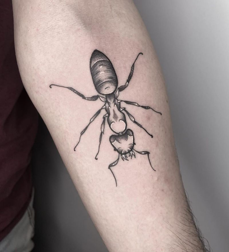 Pretty Ant Tattoos That Make You Powerful