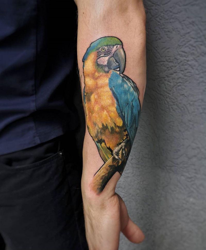 Lovely Parrot Tattoos Make You Happy Every Day