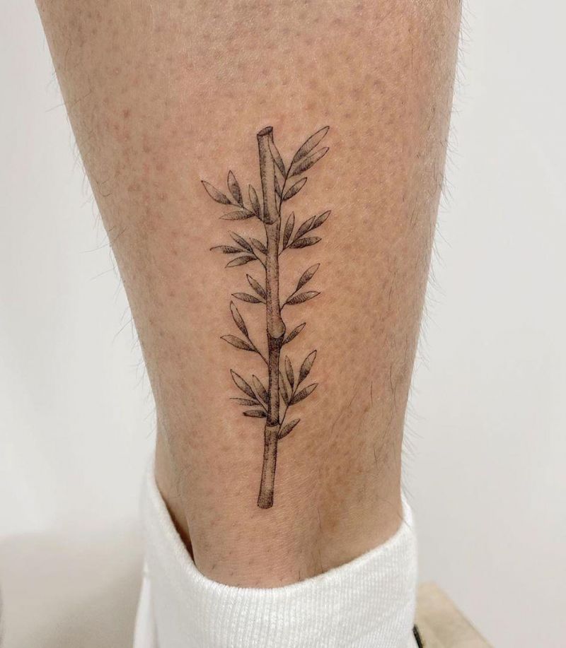 Pretty Bamboo Tattoo Designs You Must Try