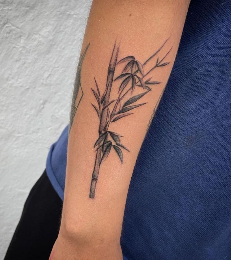 Pretty Bamboo Tattoo Designs You Must Try