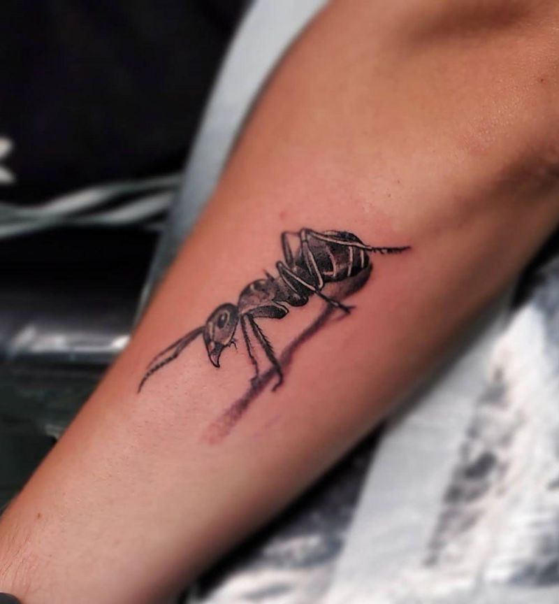 Pretty Ant Tattoos That Make You Powerful