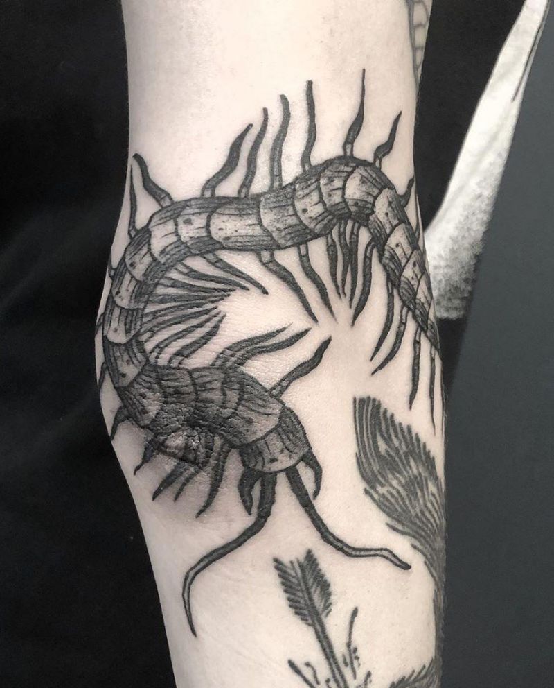 30 Amazing Centipede Tattoos You Will Love to Try