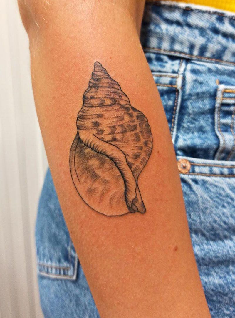 30 Pretty Conch Tattoos You Will Love