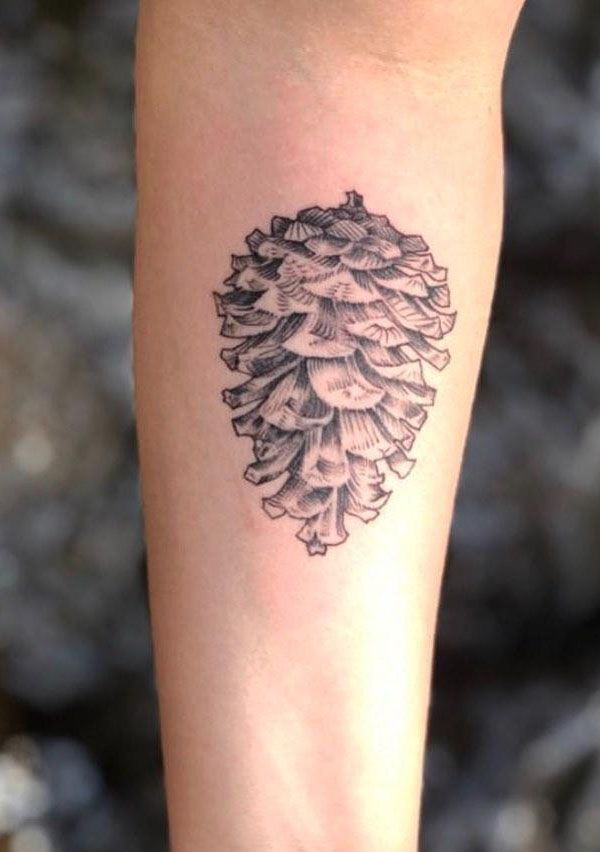 30 Pretty Pinecone Tattoos to Inspire You