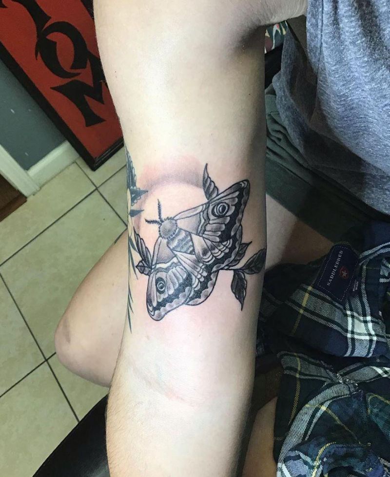 30 Pretty Moth Tattoos You Will Love to Try