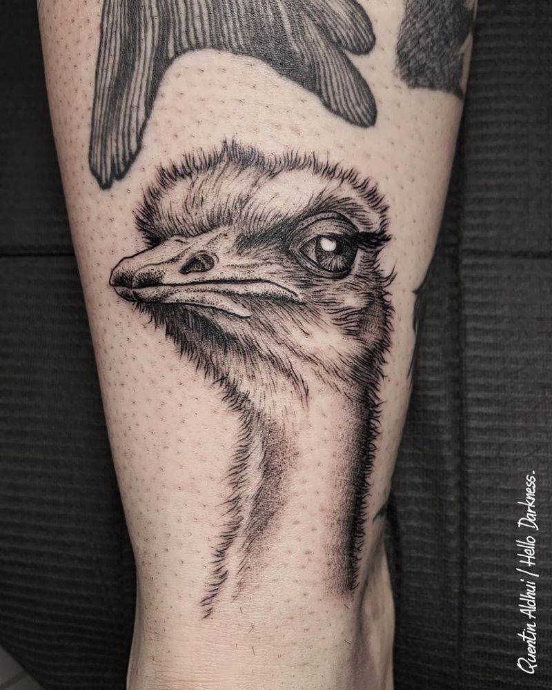 30 Pretty Ostrich Tattoos Hope to Inspire You