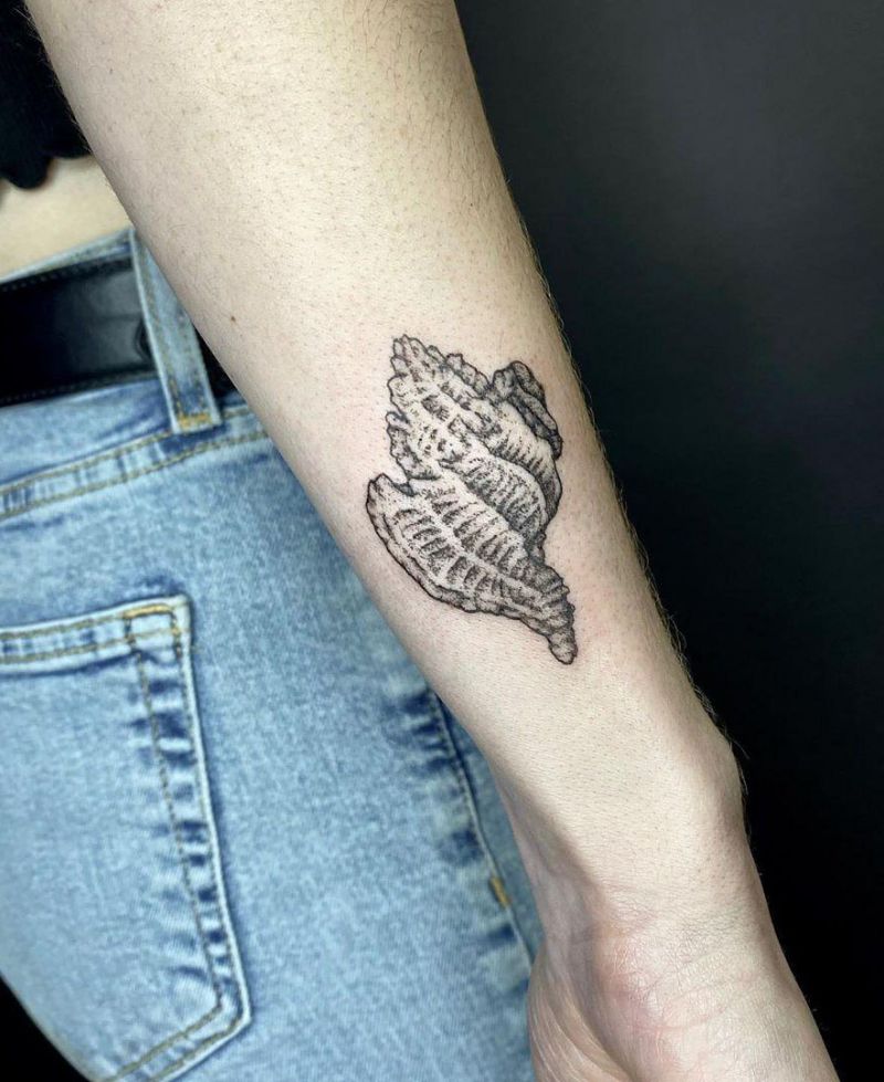 30 Pretty Conch Tattoos You Will Love