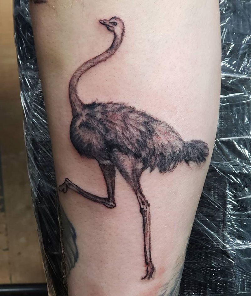 30 Pretty Ostrich Tattoos Hope to Inspire You