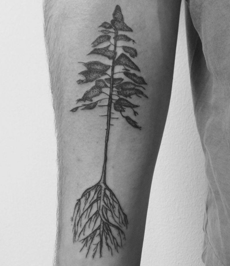 30 Pretty Pine Tattoos You Will Love