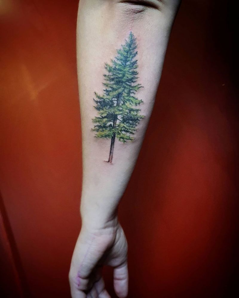 30 Pretty Pine Tattoos You Will Love