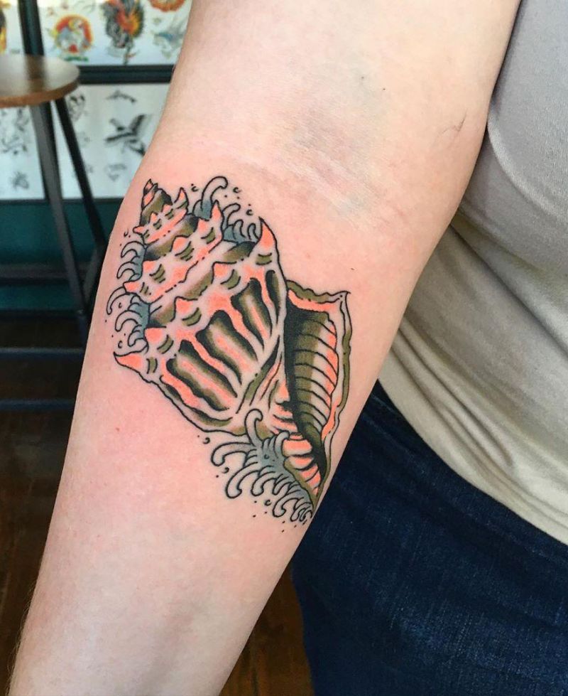 30 Pretty Conch Tattoos You Will Love