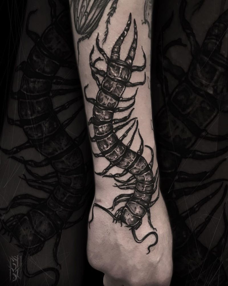 30 Amazing Centipede Tattoos You Will Love to Try