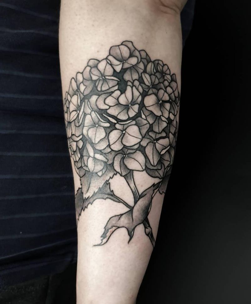 30 Elegant Hydrangea Tattoos for Women You Will Love