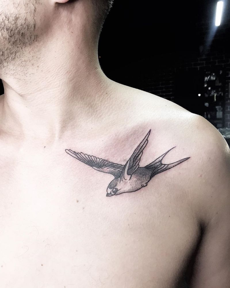 30 Stunning Swallow Tattoos for You to Enjoy