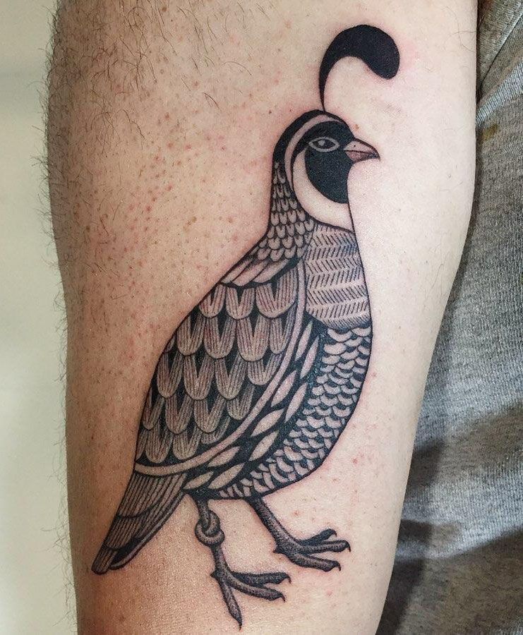 30 Pretty Quail Tattoos to Inspire You