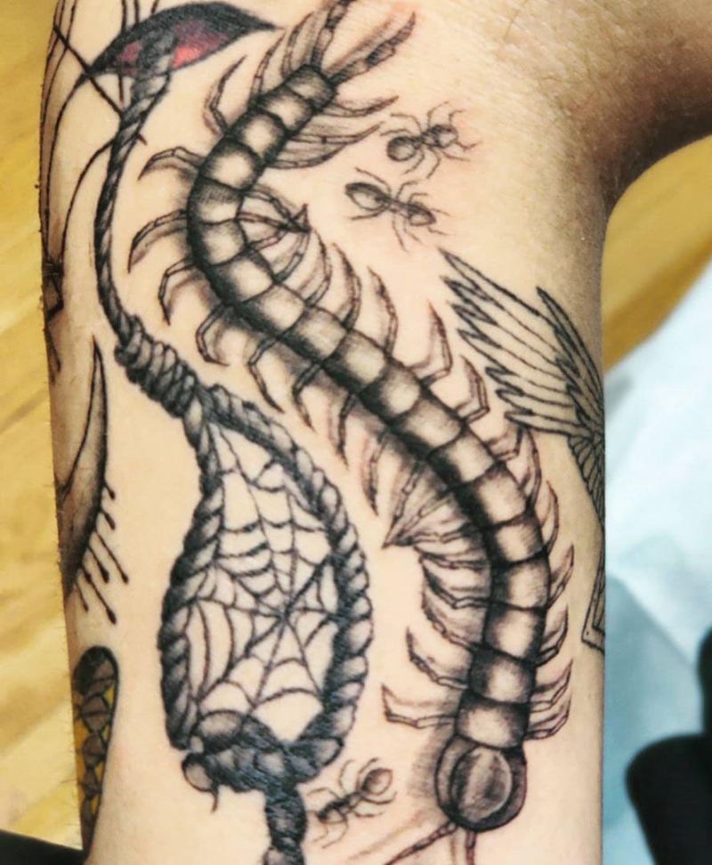 30 Amazing Centipede Tattoos You Will Love to Try