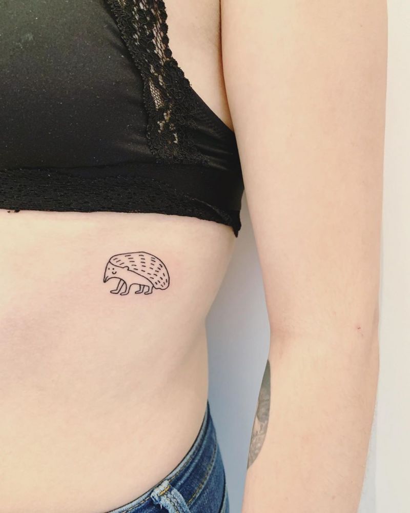 30 Cute Hedgehog Tattoos You Will Love