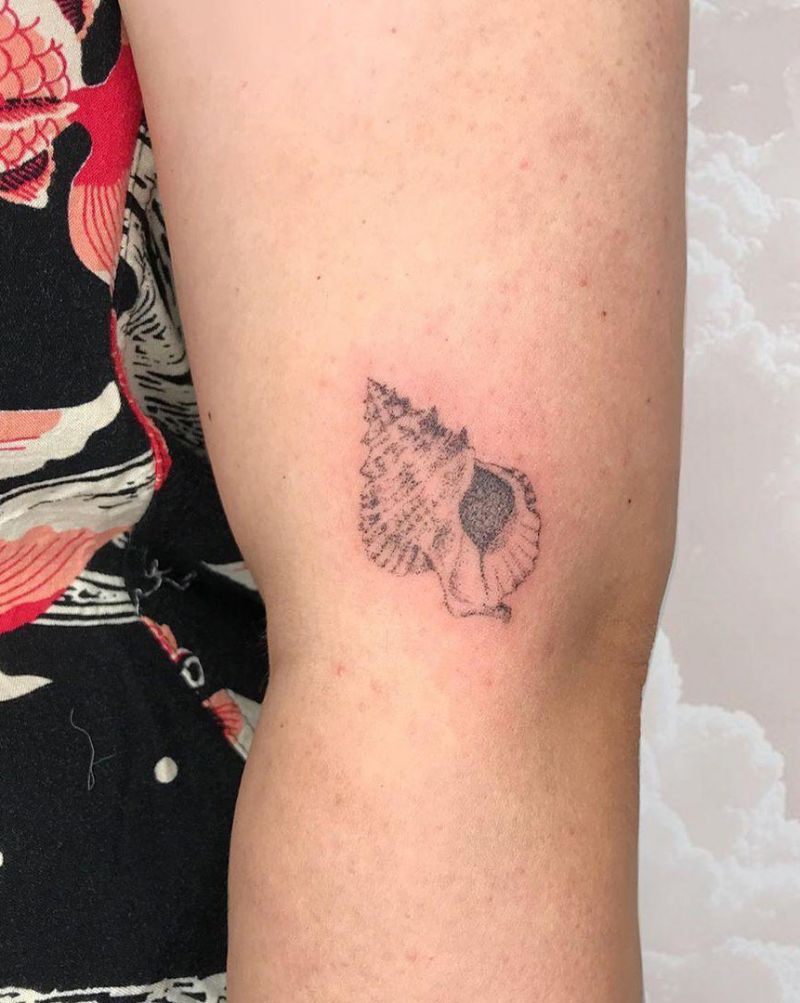 30 Pretty Conch Tattoos You Will Love