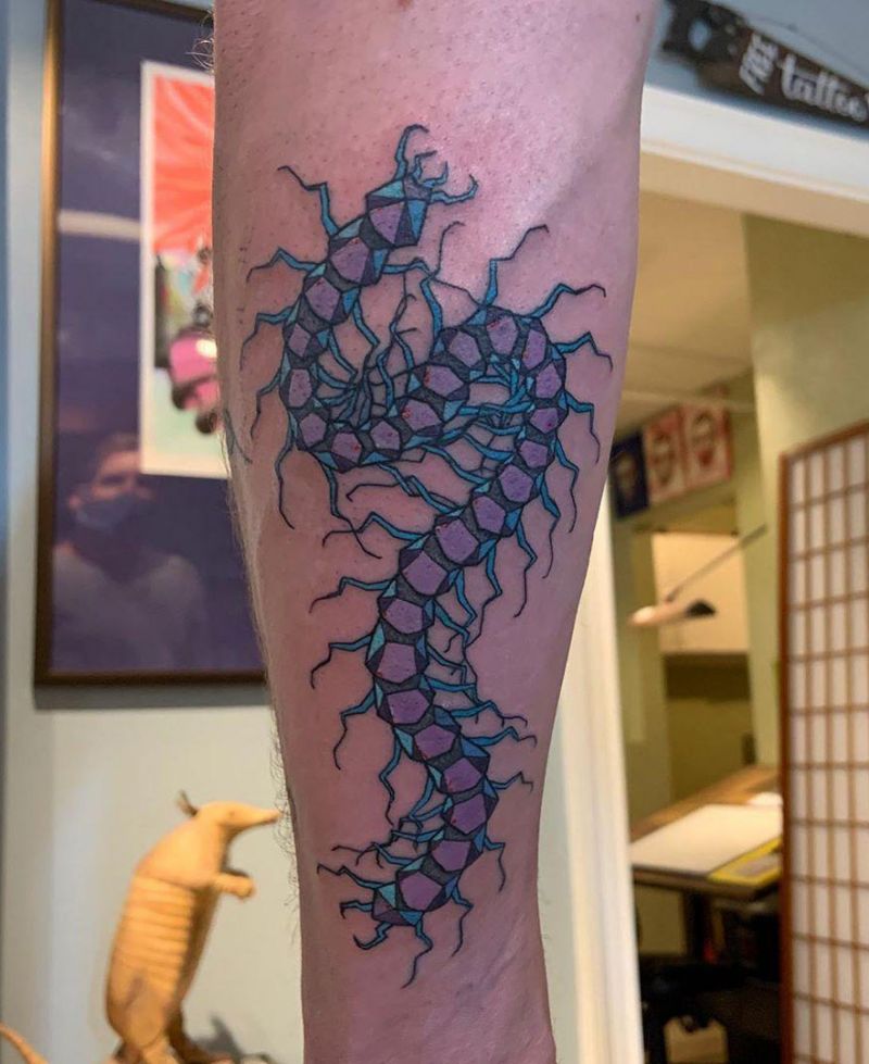30 Amazing Centipede Tattoos You Will Love to Try