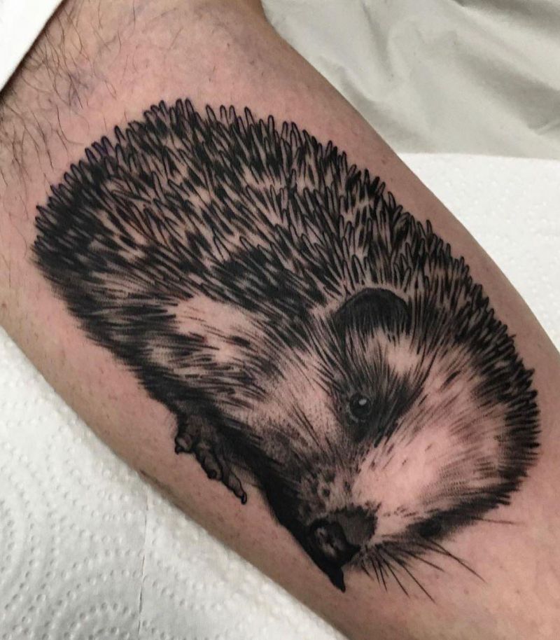 30 Cute Hedgehog Tattoos You Will Love