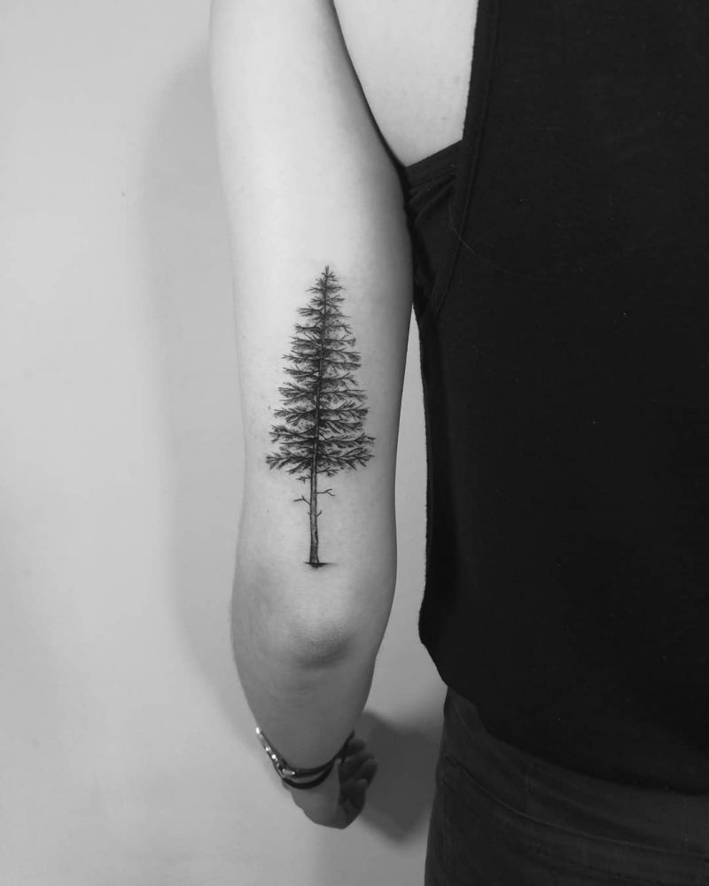 30 Pretty Pine Tattoos You Will Love