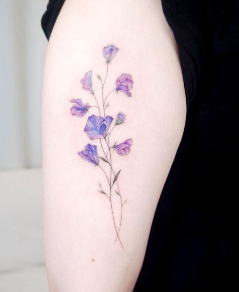 30 Pretty Sweet Pea Tattoos You Will Love