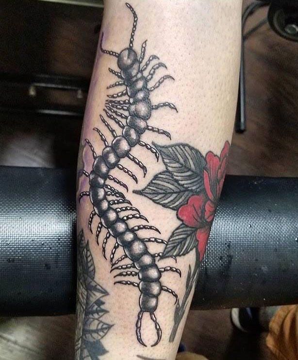 30 Amazing Centipede Tattoos You Will Love to Try