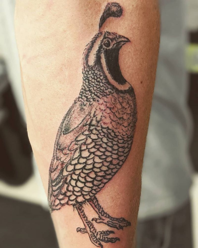 30 Pretty Quail Tattoos to Inspire You