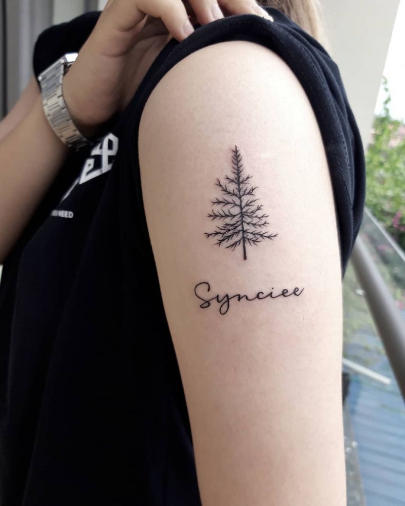 30 Pretty Pine Tattoos You Will Love