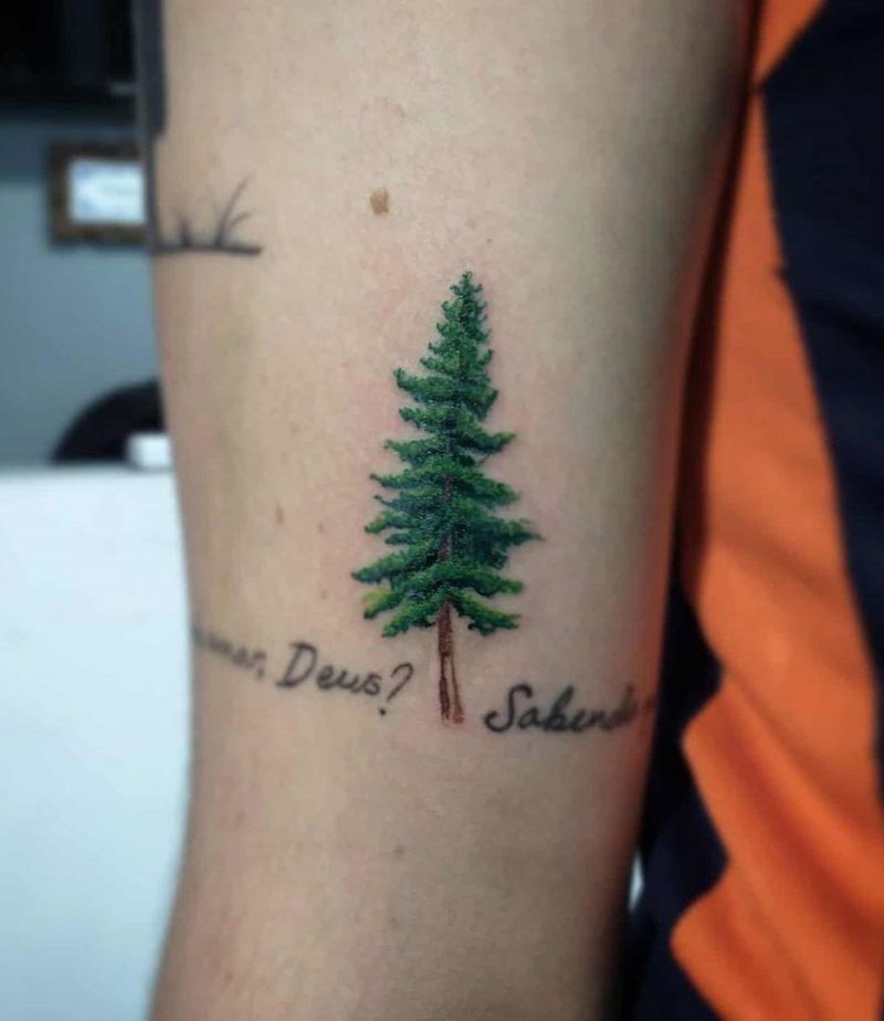 30 Pretty Pine Tattoos You Will Love